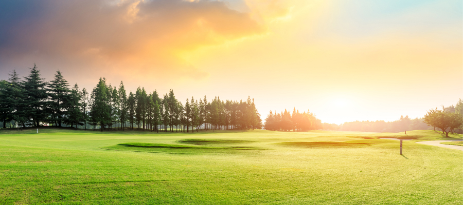 フレンドシップコース